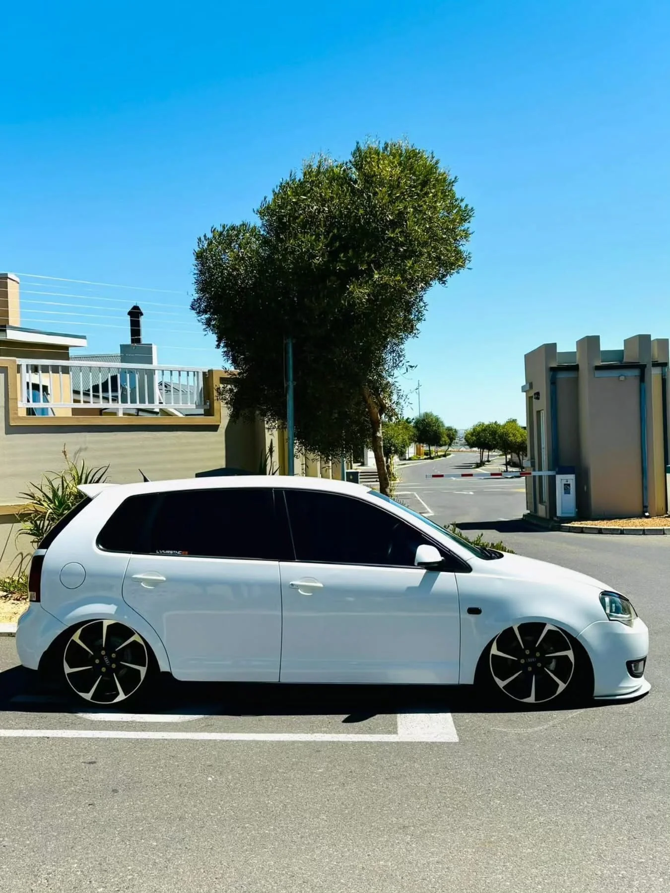 17” POLO TTRS   5/100 - Image 2