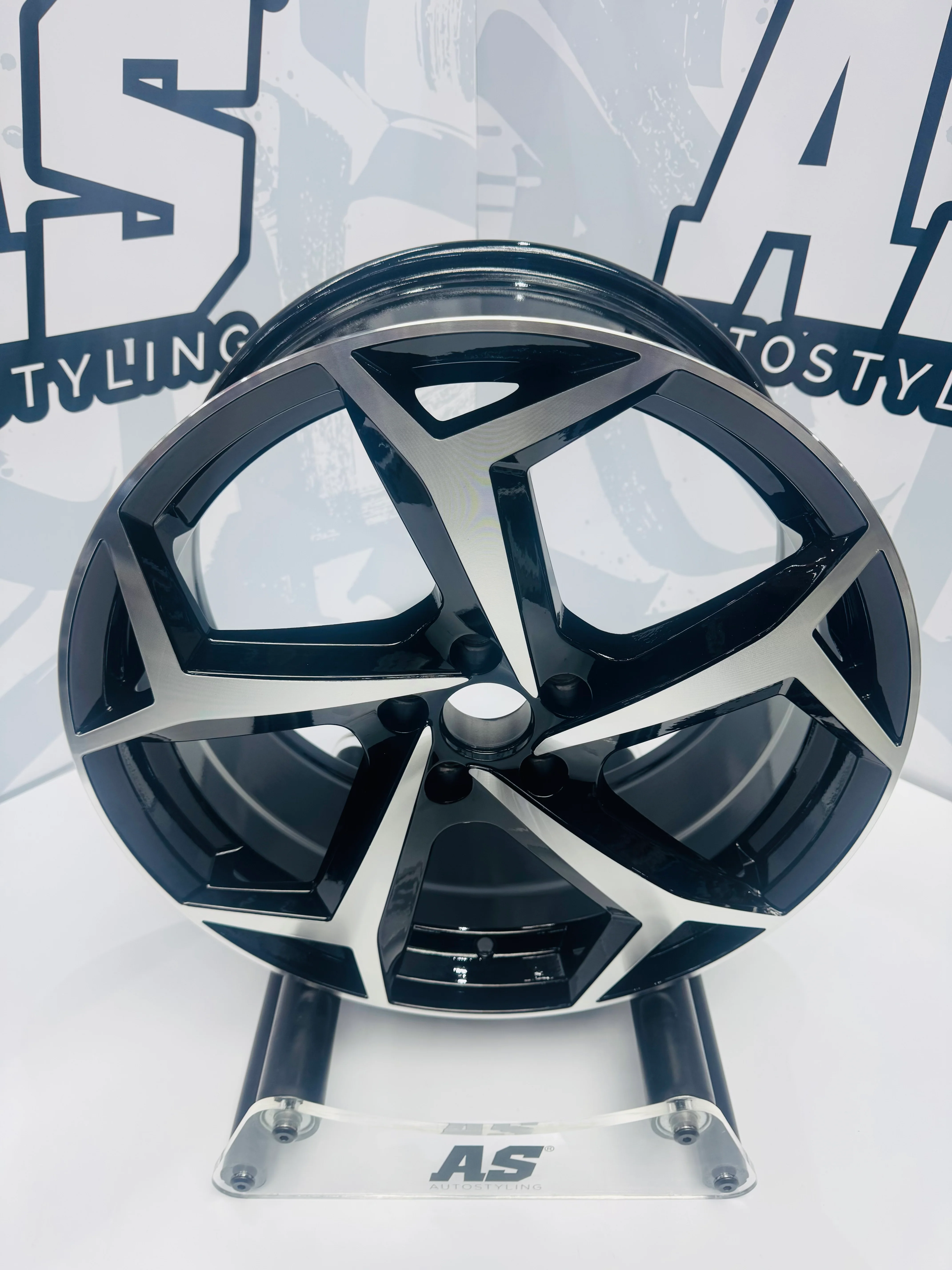 17” POLO 8AW RLINE  5/100 - Image 6